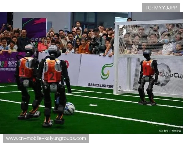 法国七人制橄榄球赛场速度优势突出，法国橄榄球大片